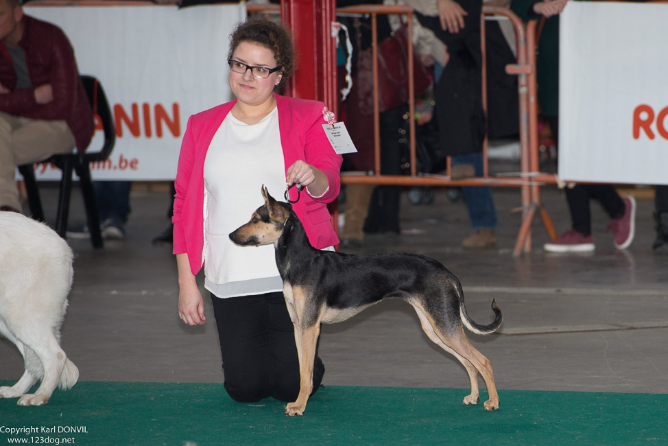 gal/Expo_janvier_2015/2015-02-27 13.32.01-1.jpg